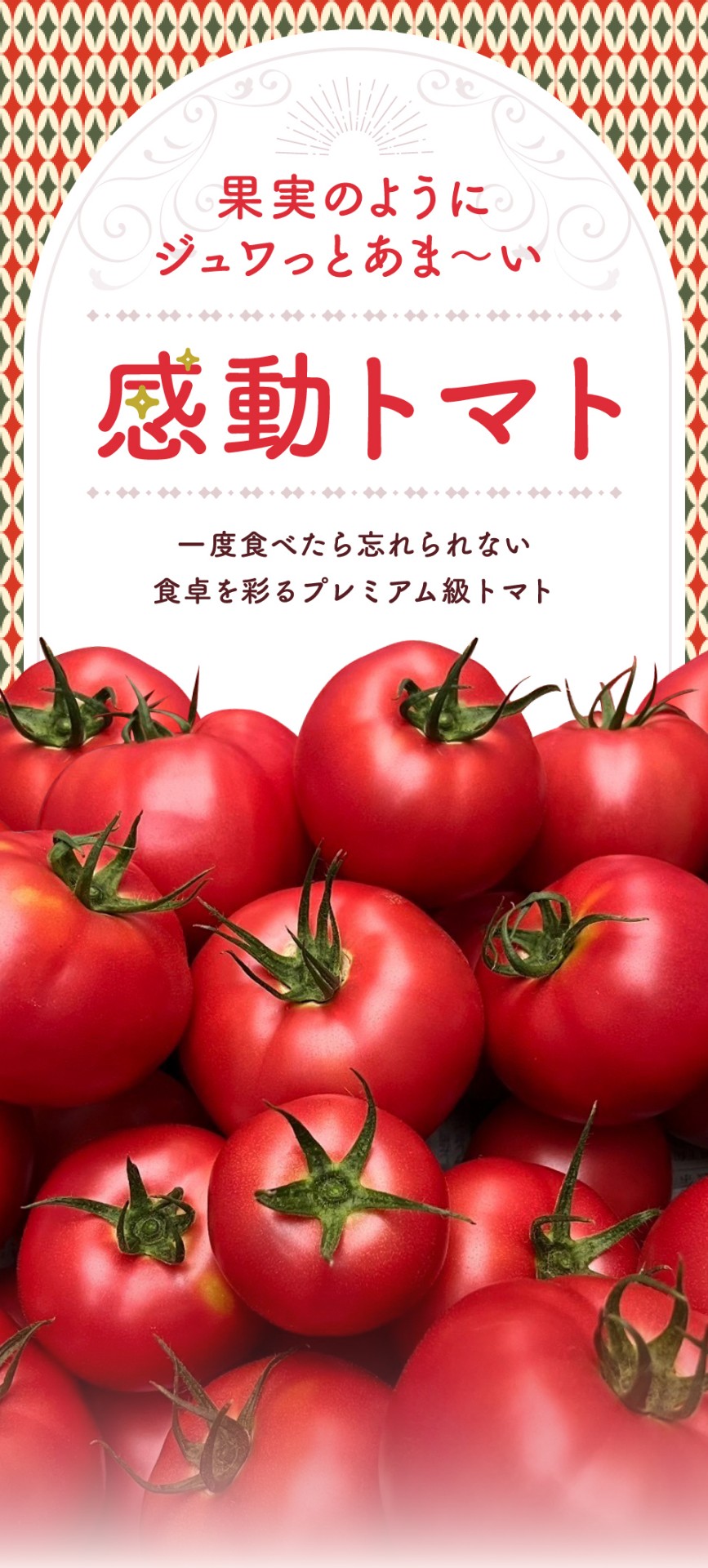 果実のようにジュワっとあま～い　感動トマト