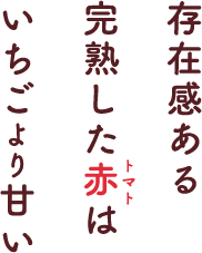 存在感ある完熟した赤はいちごより甘い